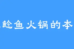 爱吃鲶鱼火锅的本国公