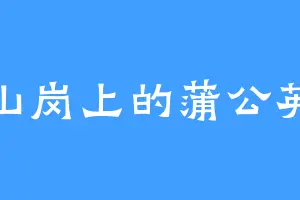 山岗上的蒲公英