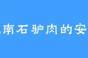 爱吃南石驴肉的安家主